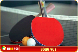 bóng vợt
