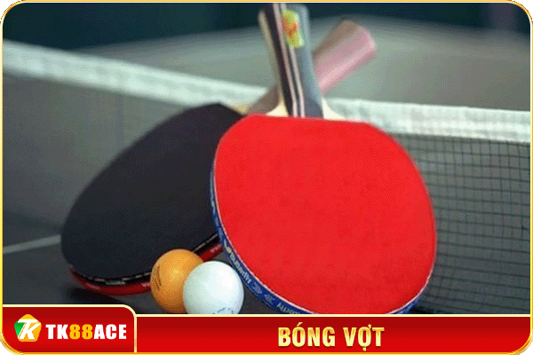 bóng vợt