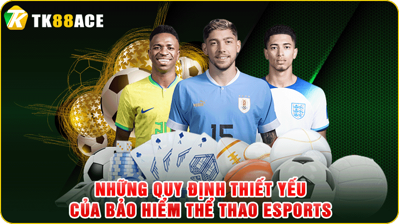 những quy định thiết yếu của bảo hiểm thể thao esports