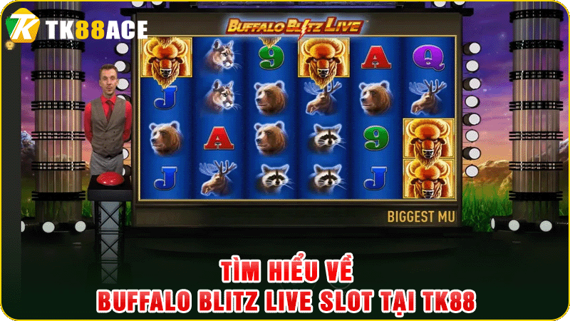 tìm hiểu về buffalo blitz live slot tại tk88