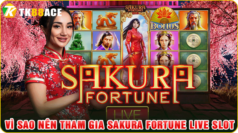 vì sao nên tham gia sakura fortune live slot
