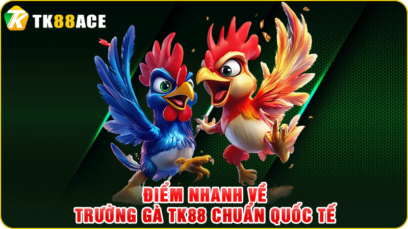 điểm nhanh về trường gà tk88 chuẩn quốc tế
